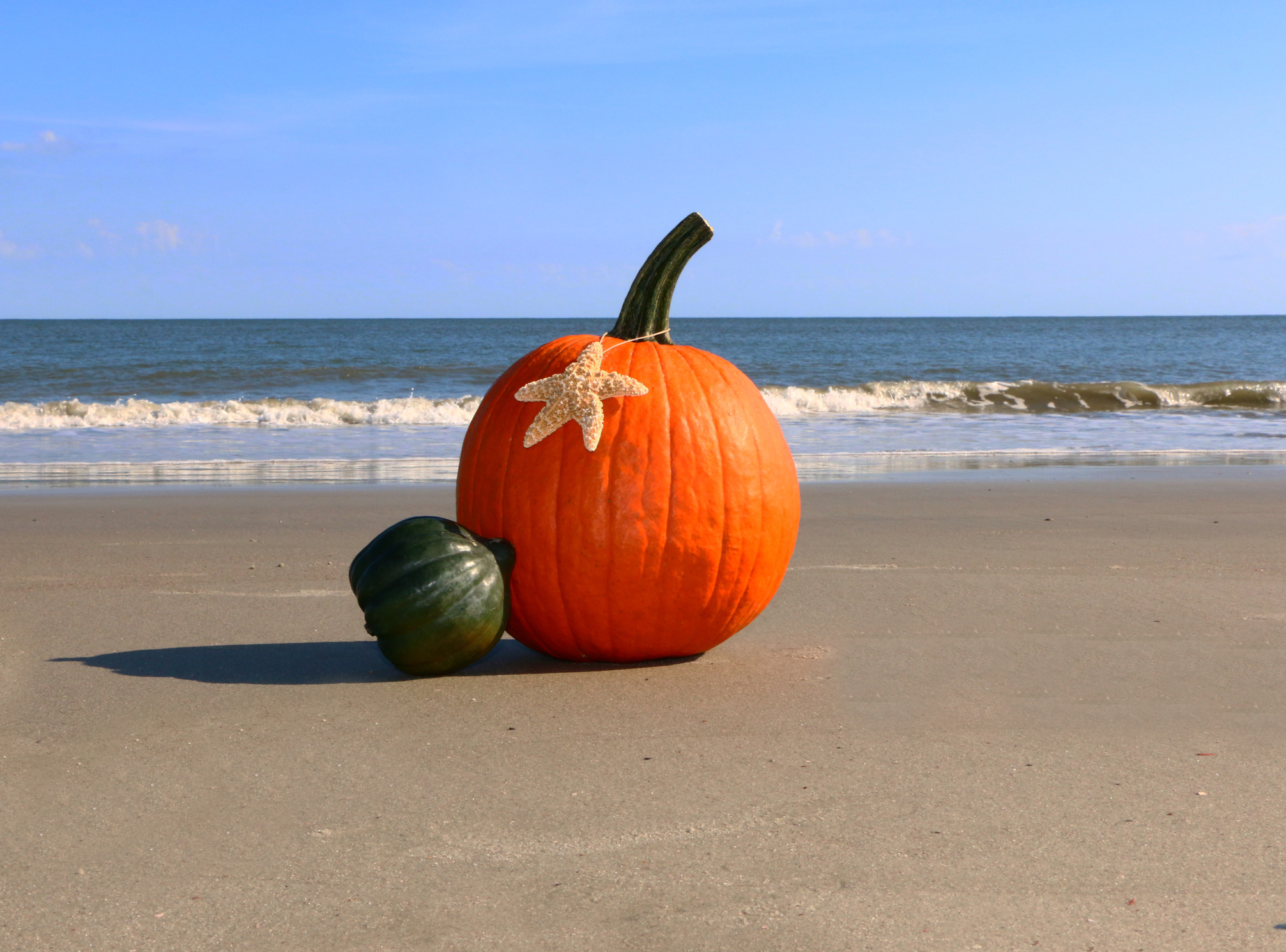 10 Things to Do in Pawleys Island in October