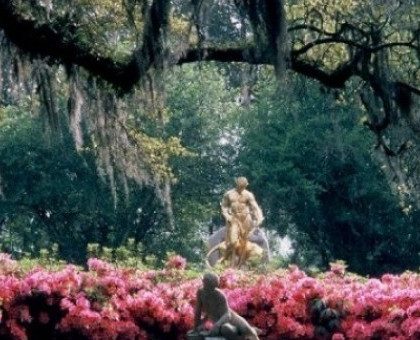 Tour Brookgreen Gardens