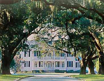 Litchfield Plantation