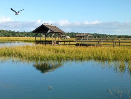 Salt Marsh