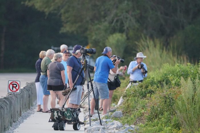 birdwatchers