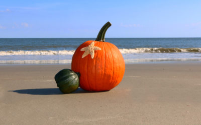 10 Things to Do in Pawleys Island in October