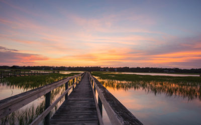 10 Things to Do in Pawleys Island in August