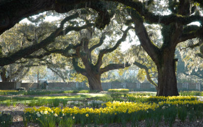 Brookgreen Gardens