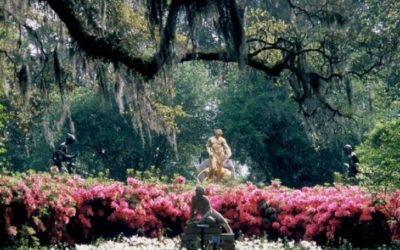Cool Summer Evenings at Brookgreen Gardens