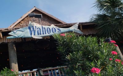 Wahoo’s Fish House