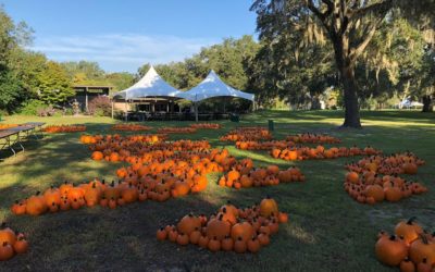 Fall Festivals in Pawleys Island