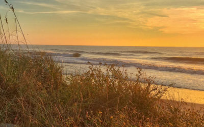 10 Must-Do Spring Vacation Adventures in Pawleys Island