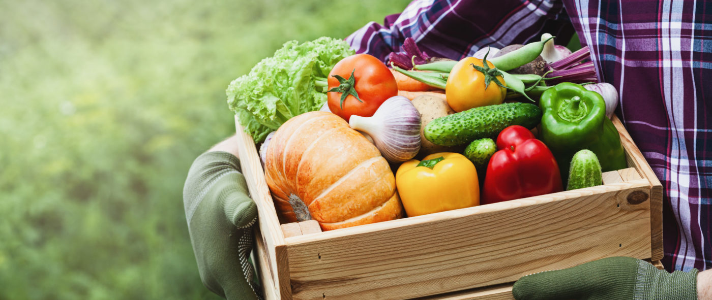 Vegetables for farmers market