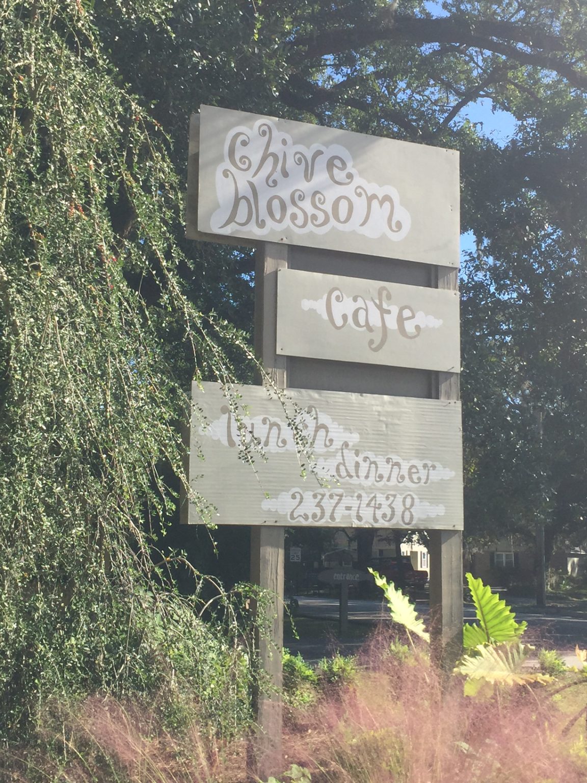 Restaurant Review Chive Blossom Cafe a hidden treasure of divergent