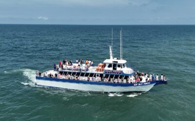 Vacations Made Easy Dolphin Cruises